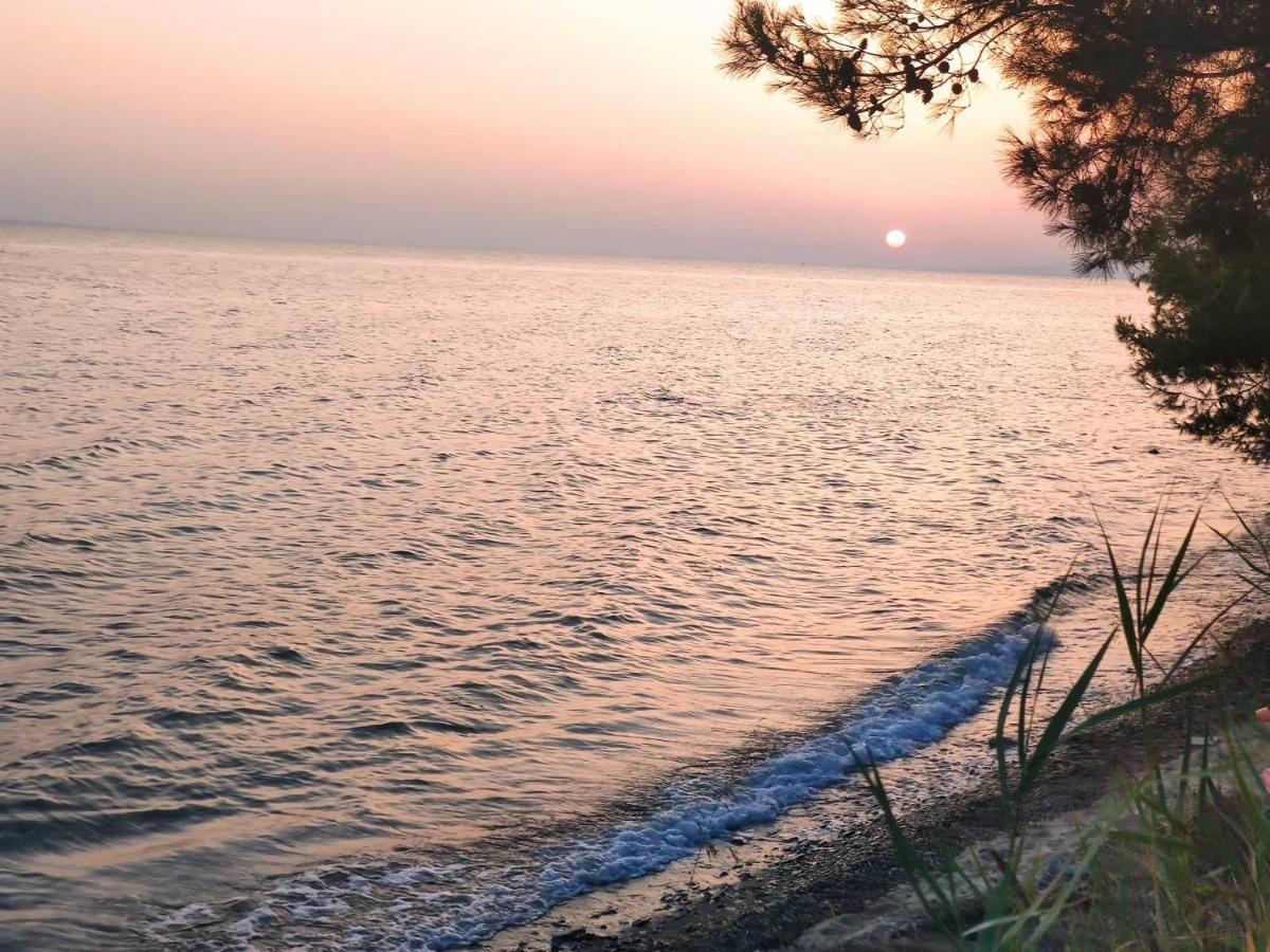 Para Thin Alos Inn Neos Marmaras Dış mekan fotoğraf