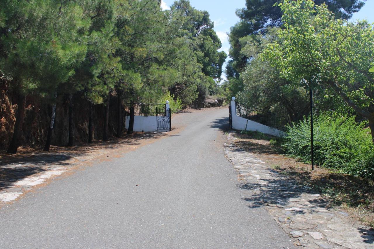 Para Thin Alos Inn Neos Marmaras Dış mekan fotoğraf